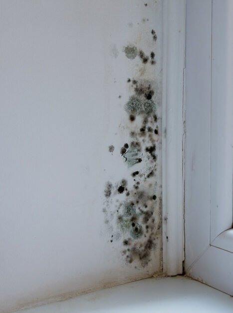 Black mould and fungus on wall near window. The problem of venti